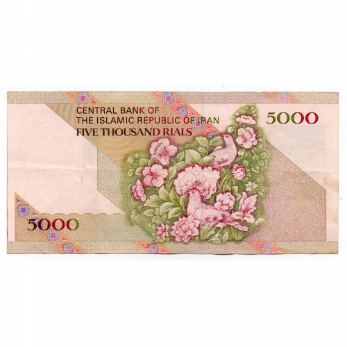 Irán 5000 Rial Bankjegy 1993 P145a