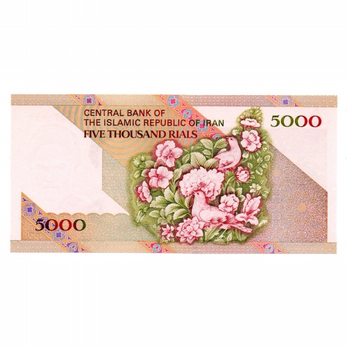 Irán 5000 Rial Bankjegy 1993 P145e